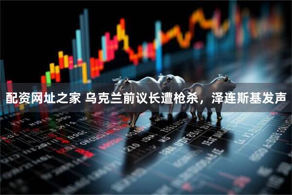 配资网址之家 乌克兰前议长遭枪杀，泽连斯基发声