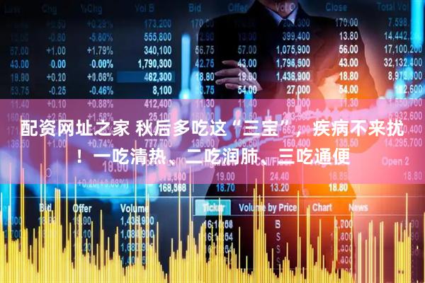 配资网址之家 秋后多吃这“三宝”，疾病不来扰！一吃清热、二吃润肺、三吃通便