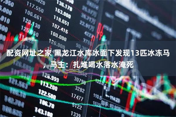 配资网址之家 黑龙江水库冰面下发现13匹冰冻马，马主：扎堆喝水落水淹死