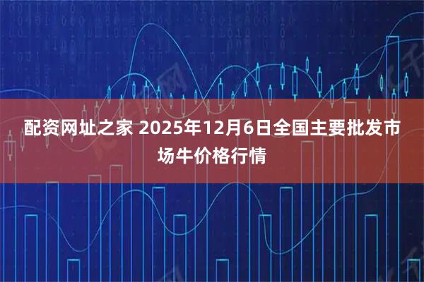 配资网址之家 2025年12月6日全国主要批发市场牛价格行情