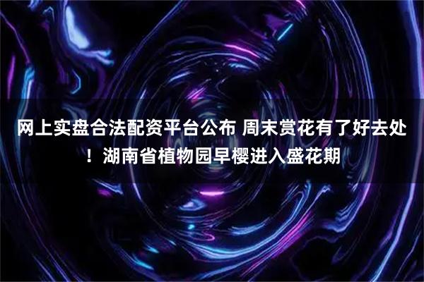 网上实盘合法配资平台公布 周末赏花有了好去处！湖南省植物园早樱进入盛花期