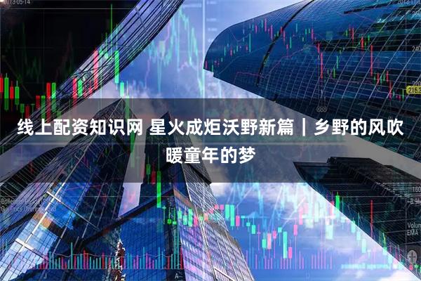 线上配资知识网 星火成炬沃野新篇｜乡野的风吹暖童年的梦