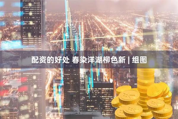 配资的好处 春染洋湖柳色新 | 组图