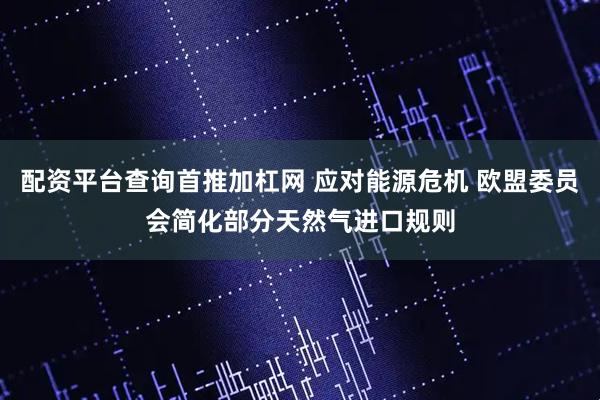配资平台查询首推加杠网 应对能源危机 欧盟委员会简化部分天然气进口规则