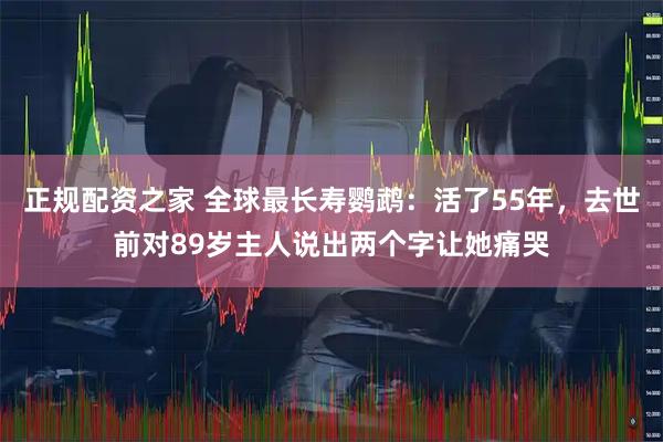 正规配资之家 全球最长寿鹦鹉：活了55年，去世前对89岁主人说出两个字让她痛哭