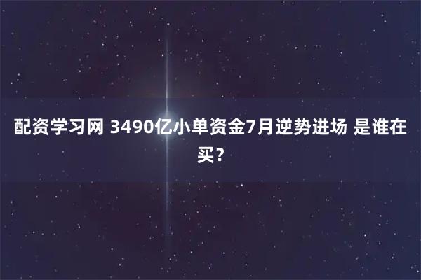 配资学习网 3490亿小单资金7月逆势进场 是谁在买?